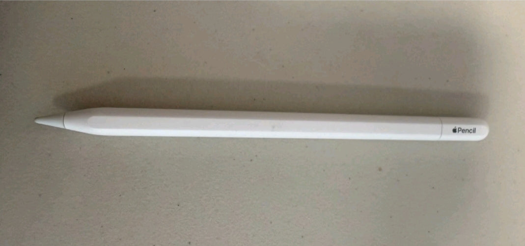 Apple Pencil (USB-C Type) preowned compatible with ur iPad generation